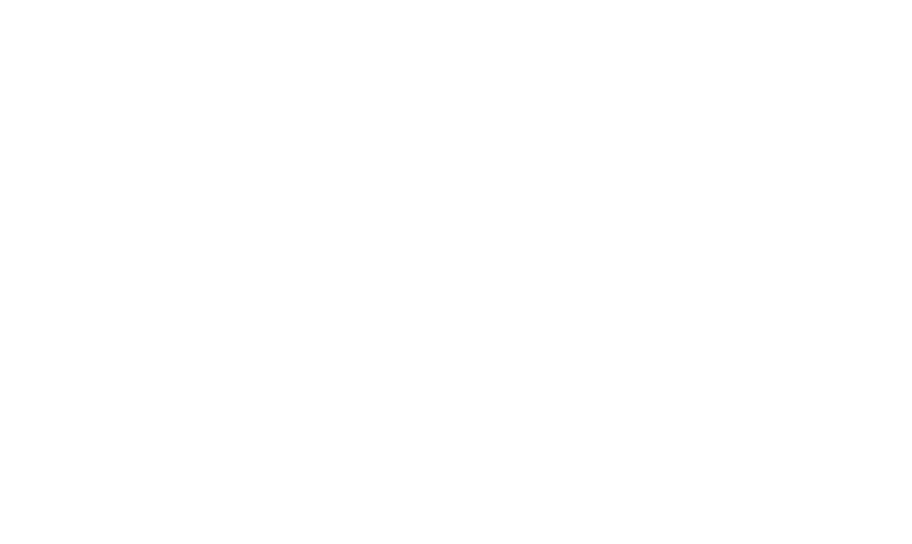 Visit Virginia Website